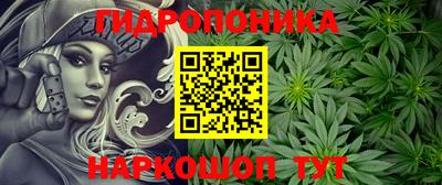 спиды Моздок