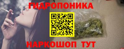 спиды Моздок