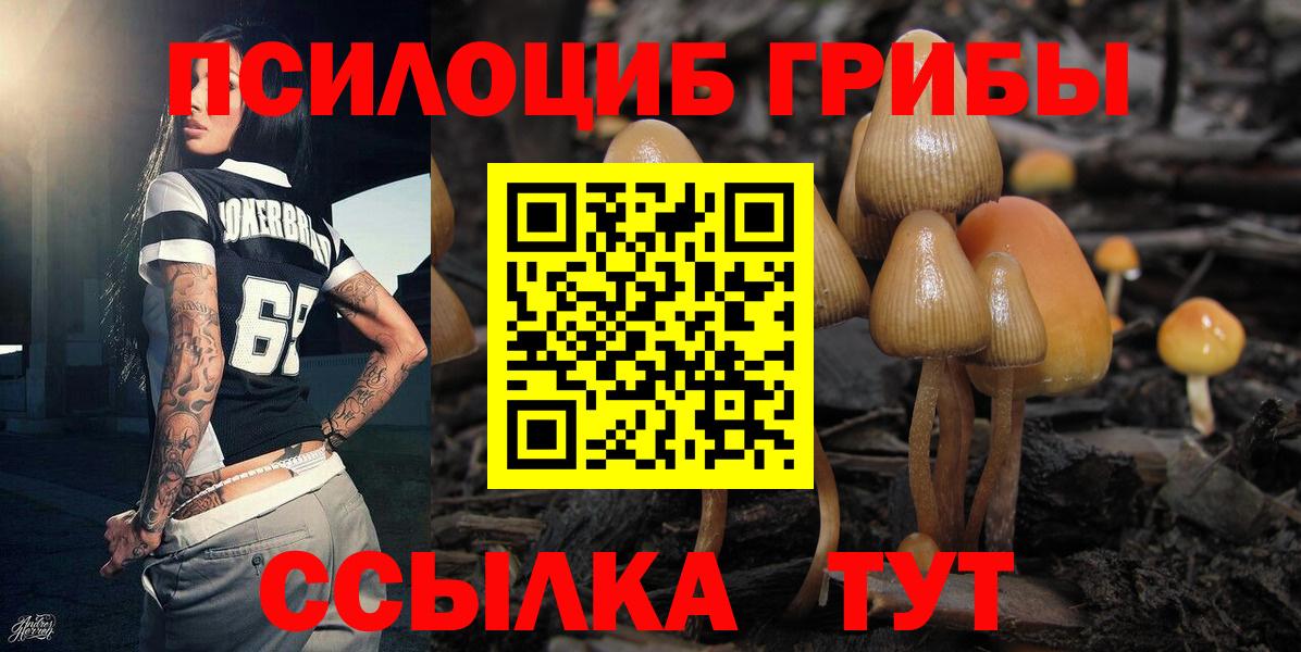 Галлюциногенные грибы GOLDEN TEACHER Серов