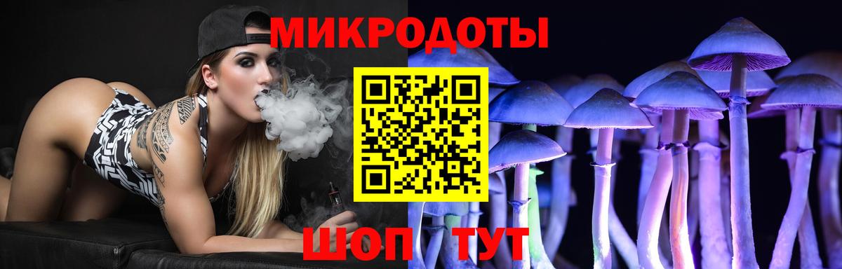 Серов  Псилоцибиновые грибы мицелий  Вход с VPN 
